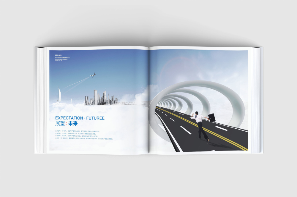 越西县画册设计